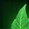 Eco-friendly digital solutions